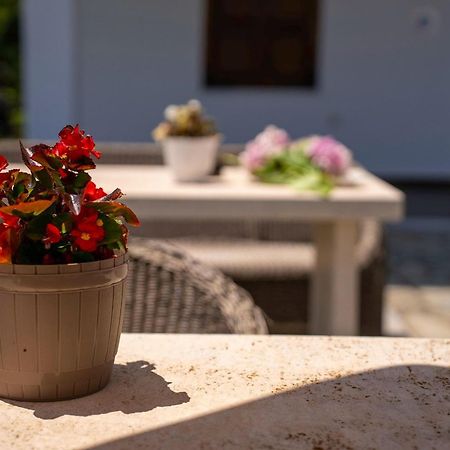 Paradeisos Rooms Pelion Áyios Dhimítrios Extérieur photo