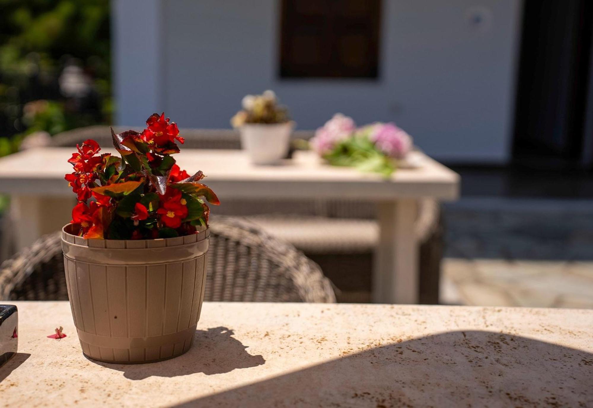 Paradeisos Rooms Pelion Áyios Dhimítrios Extérieur photo